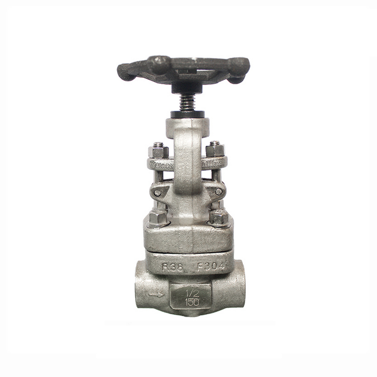 COVNA J11W Female Threaded Globe Valve