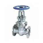 COVNA WCB Flange Type Wedge Gate Valve