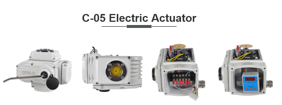 Electric actuator