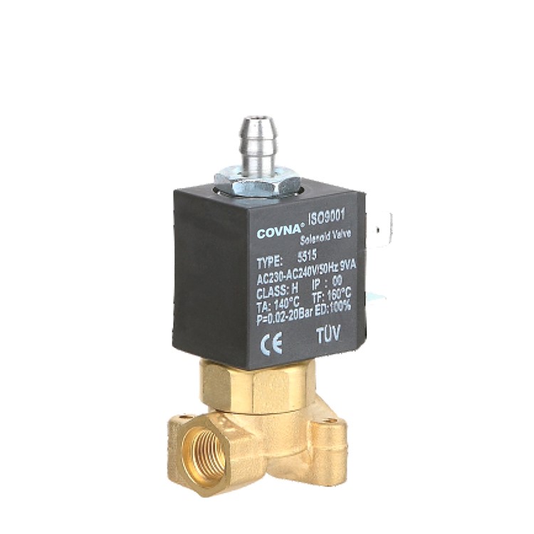 2/2 Way Small Home Electrical Appliance Brass Solenoid Valve