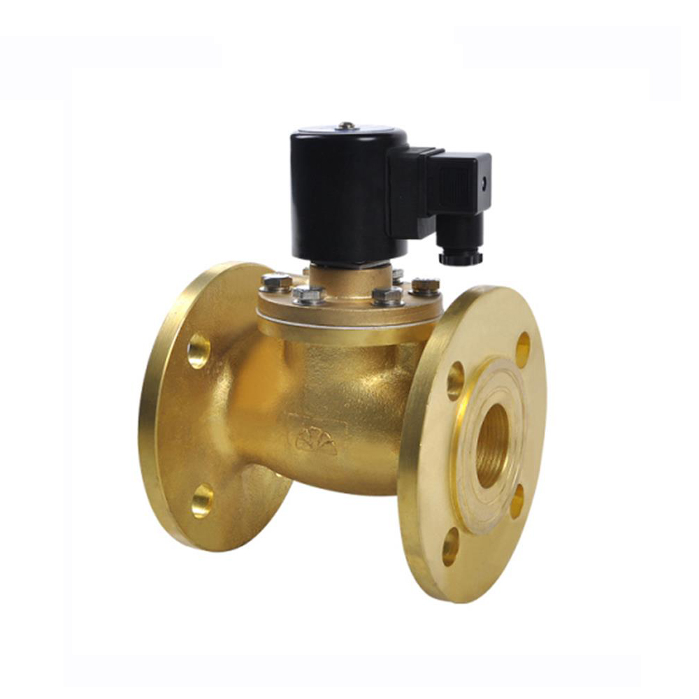 Large Diameter Direct Acting Stainless Steel Flange Type Solenoid Valve