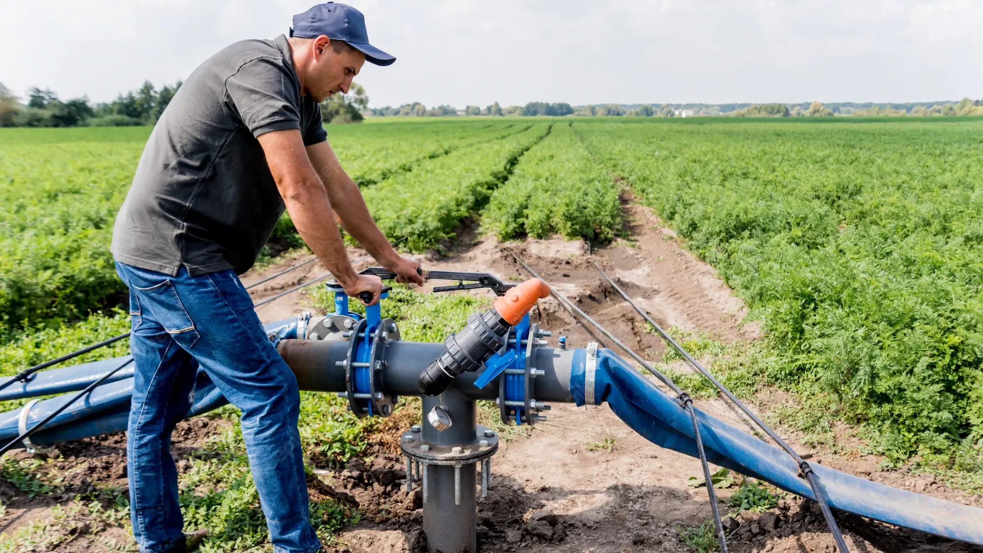 Agricultural Irrigation