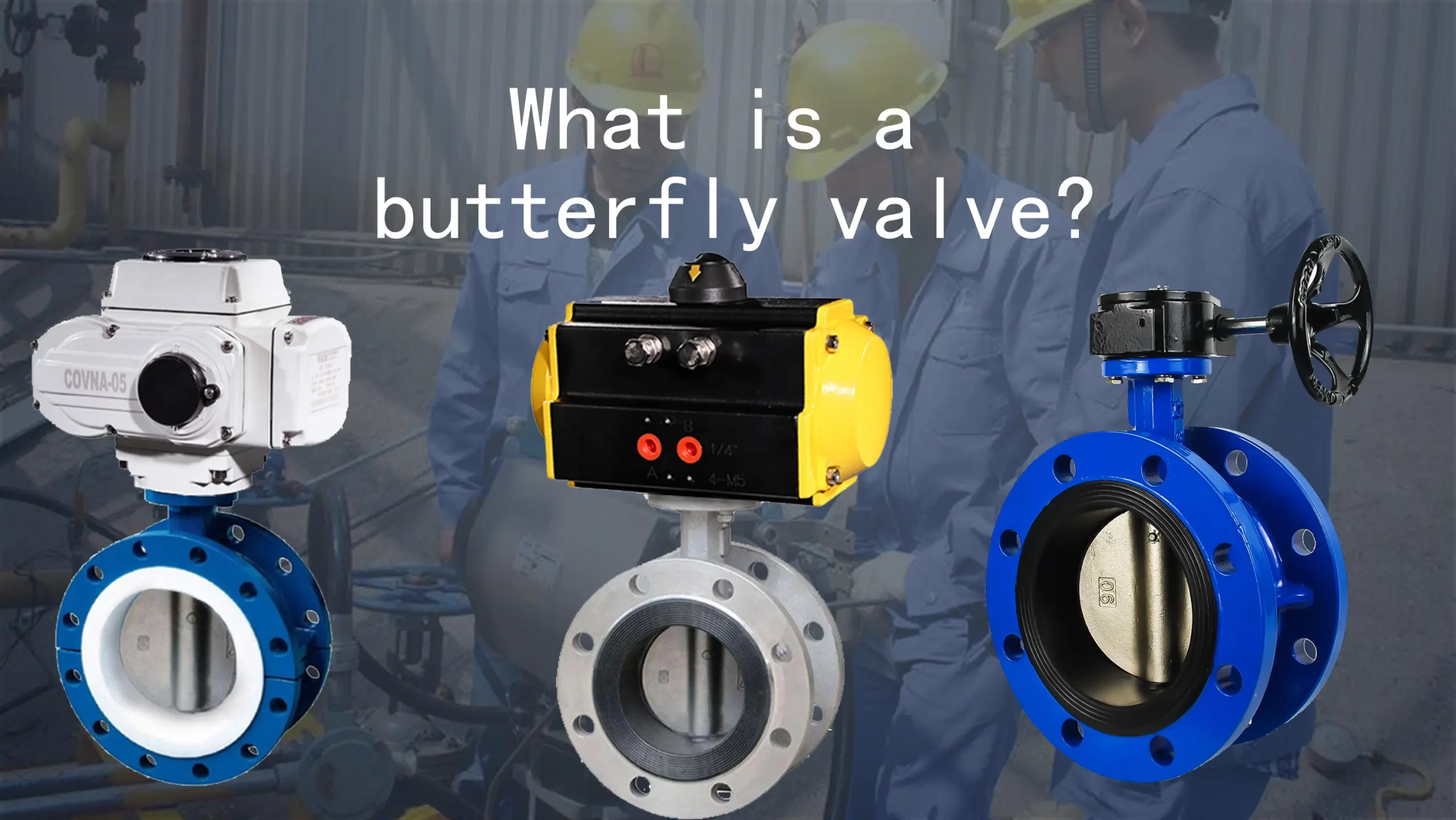 What is a Butterfly Valve?